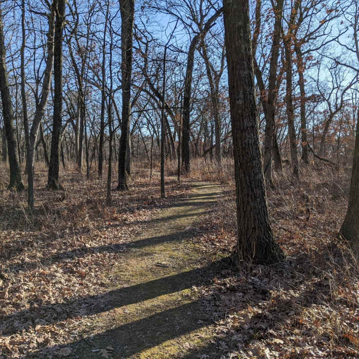 A mossy trail Near MMSD Forest Loop