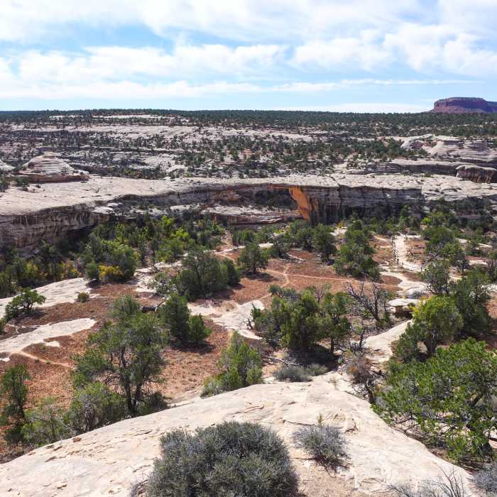 Near Owachomo Bridge Trail