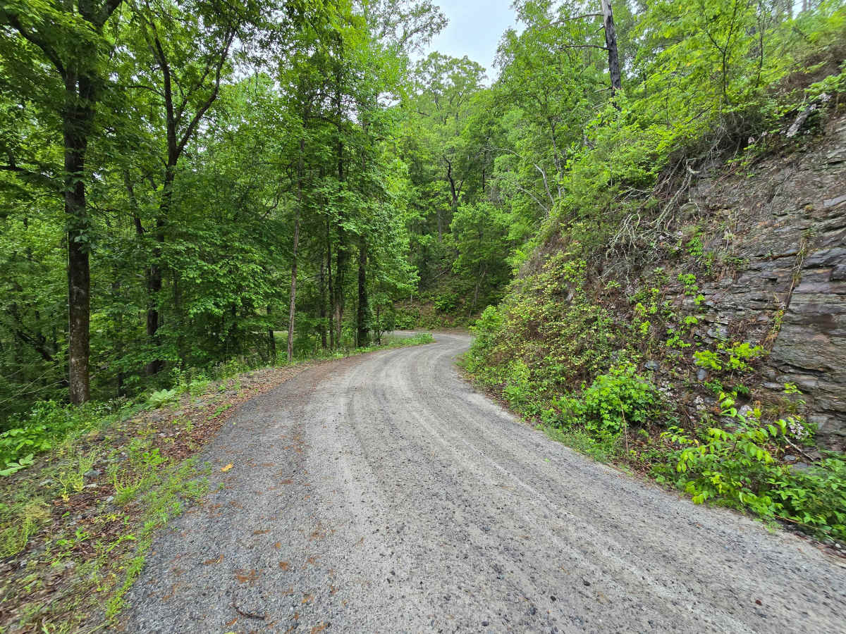 Old Highway Road - FS 311 photo 5