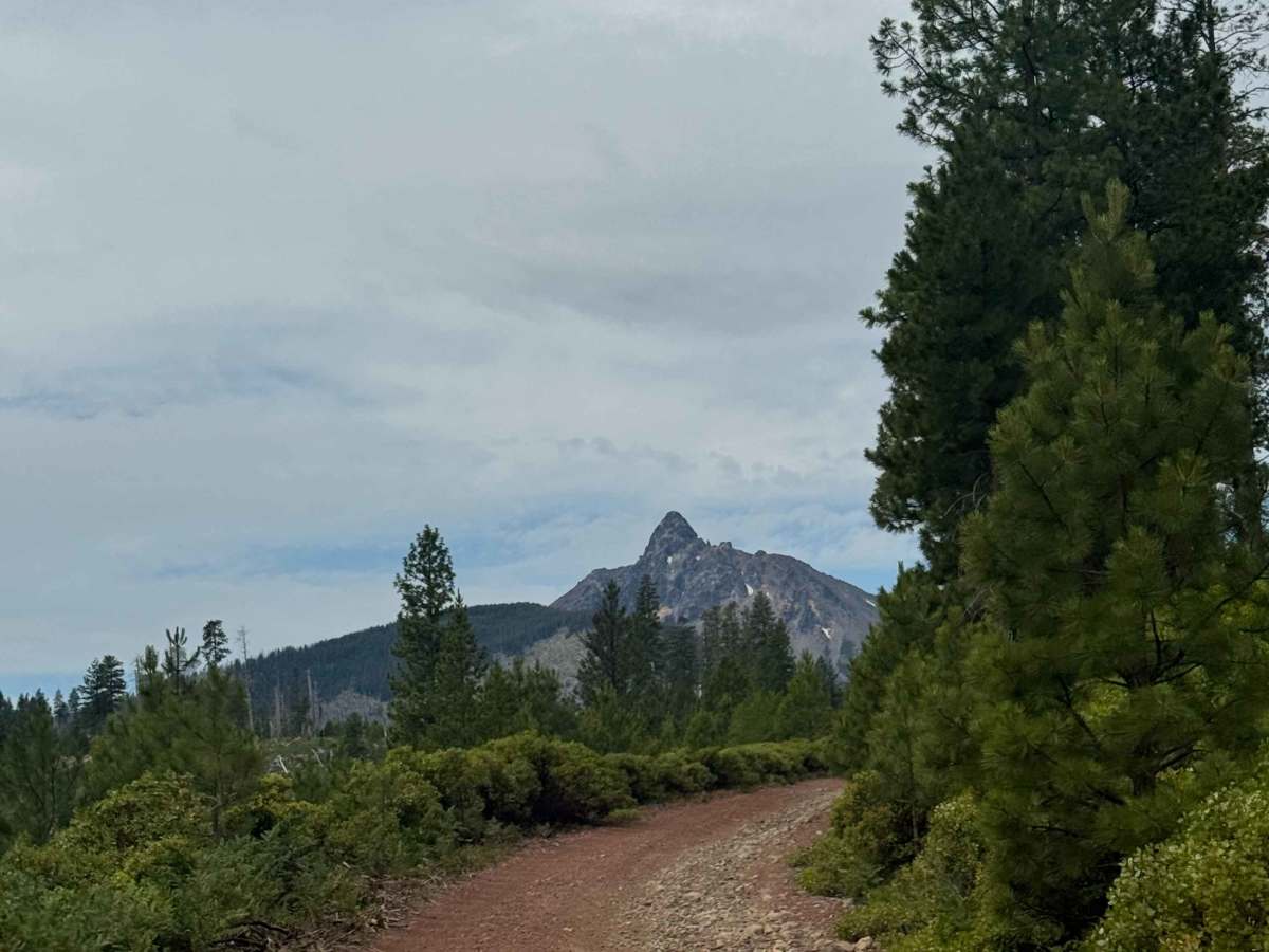 Santiam Wagon Road - FS 1028-500 trail photo