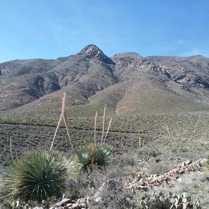 Near Spring View Spur