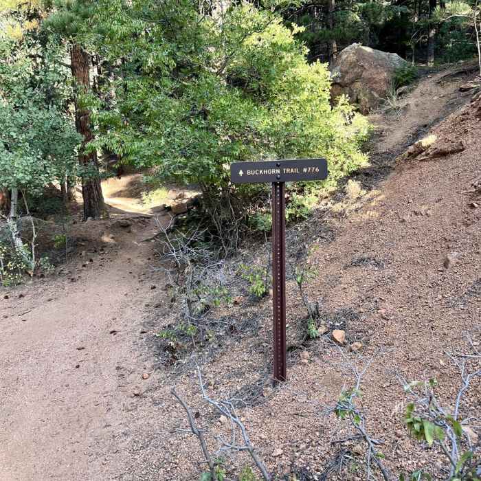 Near Mount Buckhorn Loop