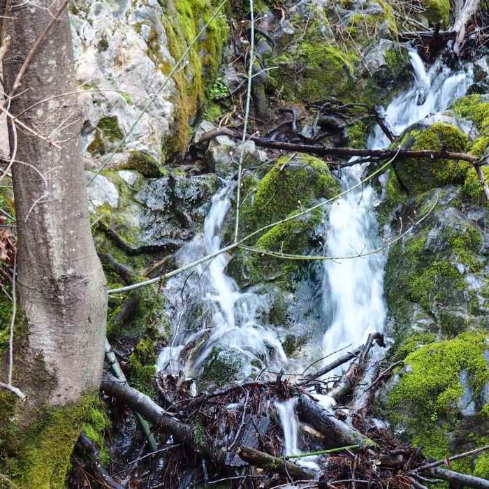 Near Bear Gulch Trail
