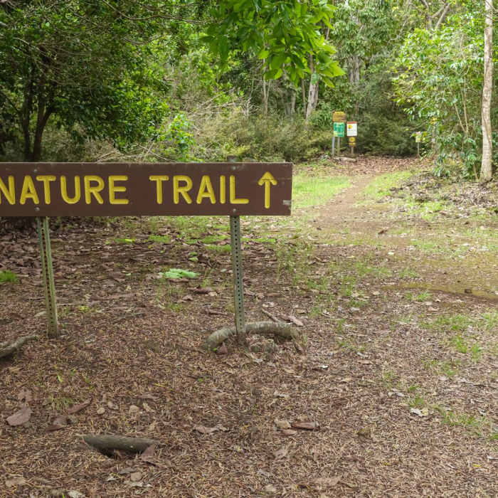 Near Manuka Nature Trail Near Manuka Nature Trail