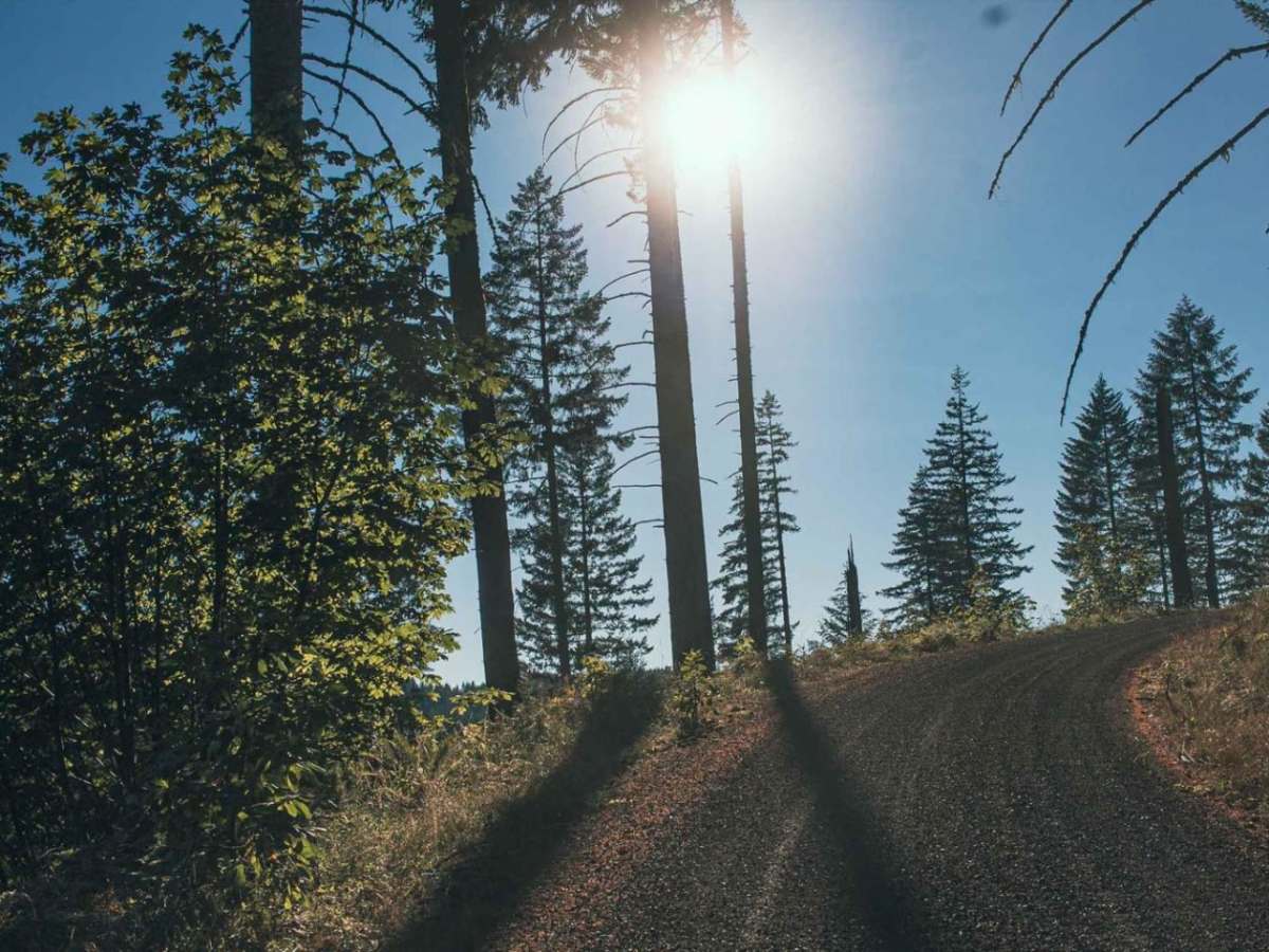 Laying Creek -Patternson trail photo