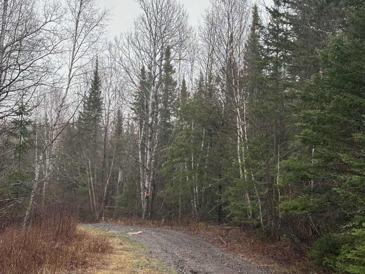 Powers Lake Road West photo 5