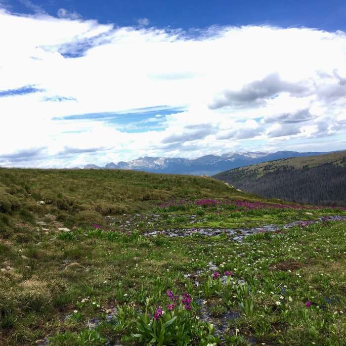 Near Beaver Creek Hourglass Loop
