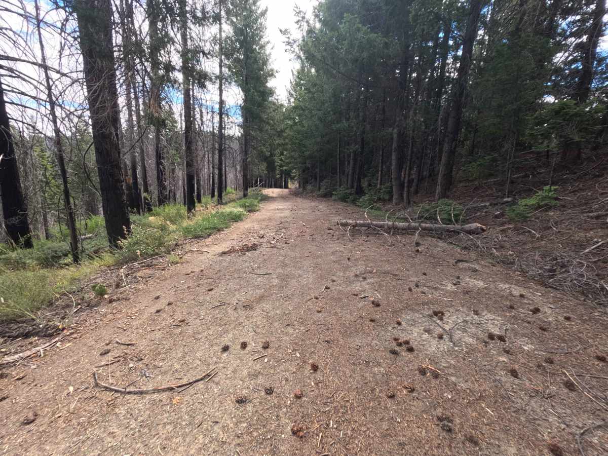 Sheep Creek - FS 20N09 photo 3
