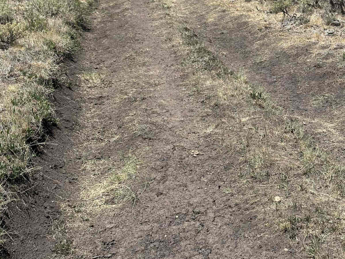 Jensen Creek Road photo 3