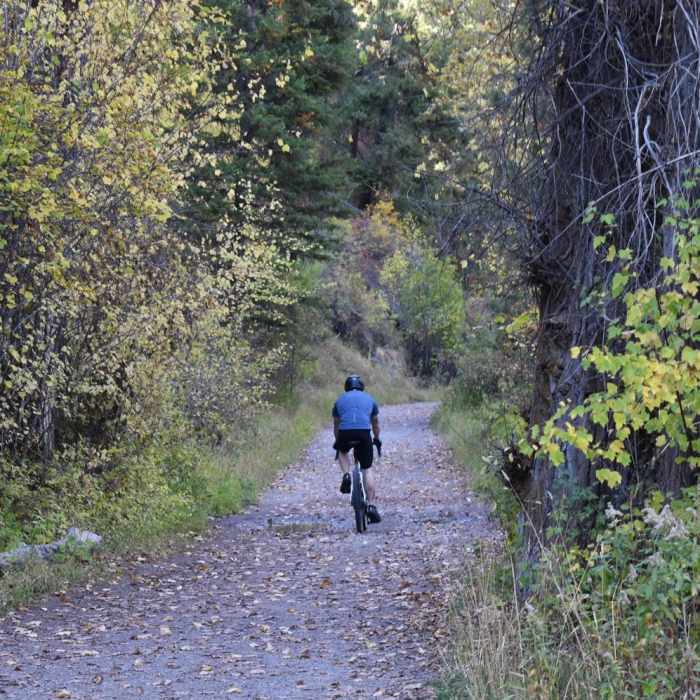 Near Rattlesnake Creek + Spring Gulch Loop