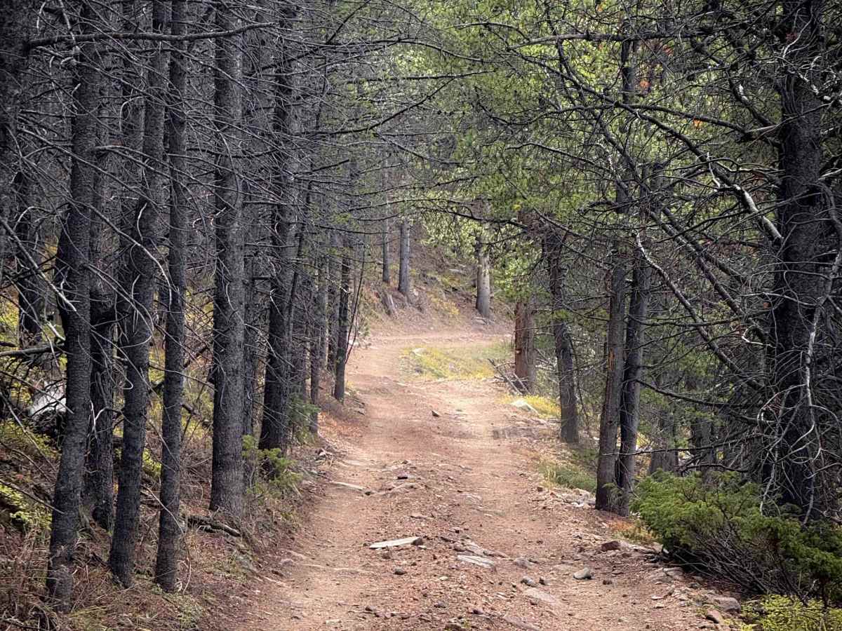 Wuanita Pass Trail - FS 640  photo 6