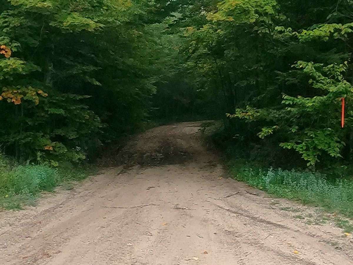 Cut River/Brevoort River Trail (ORV Route A) photo 6