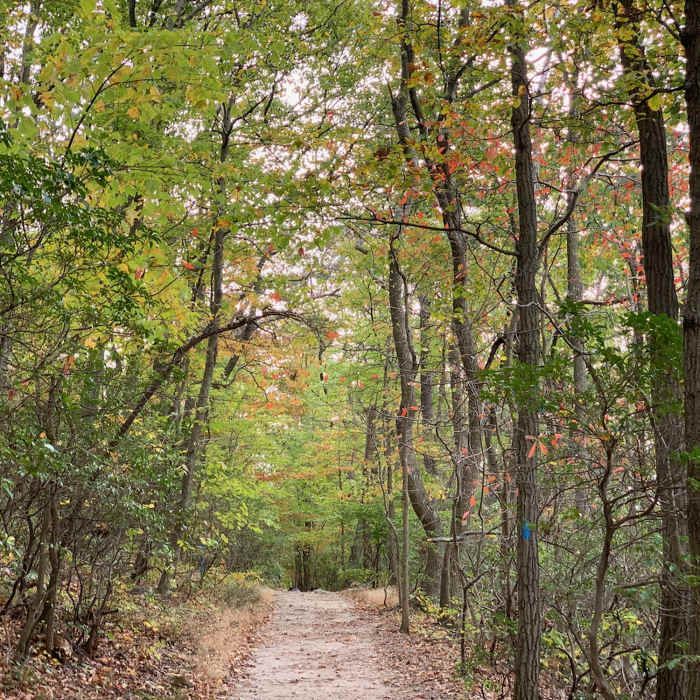 Near Sugarloaf Summit