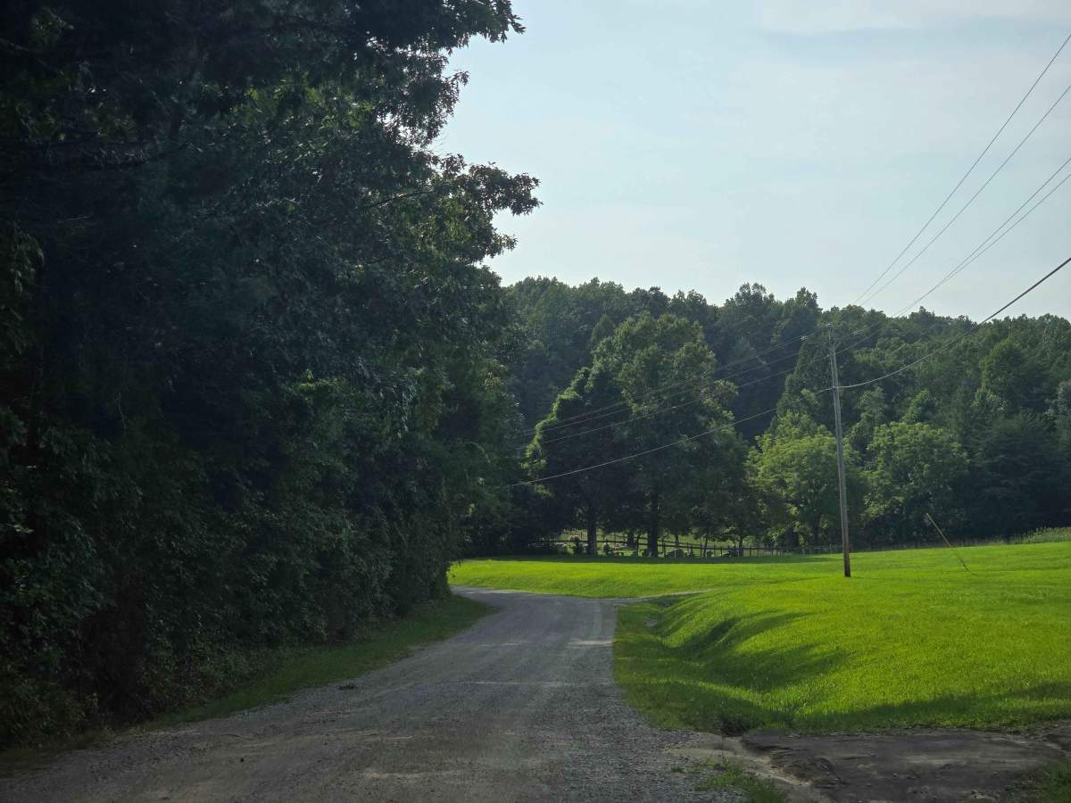 Bandy Creek Road photo 4
