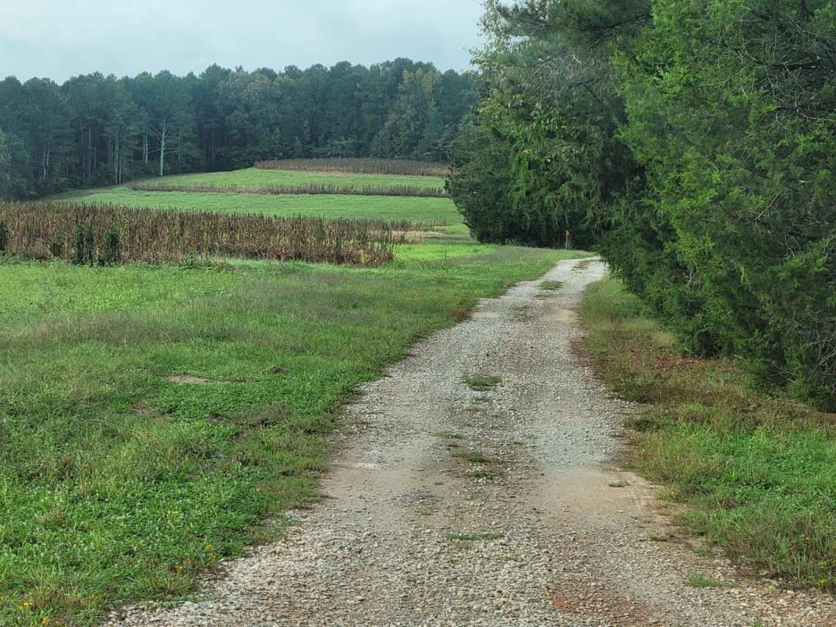 Redlands WMA photo 2