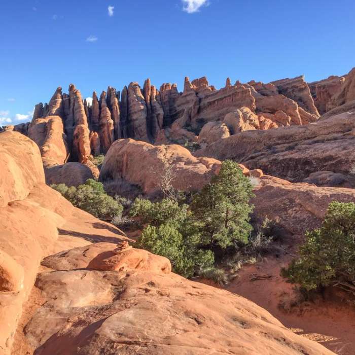 Near Devils Garden Primitive Loop Trail