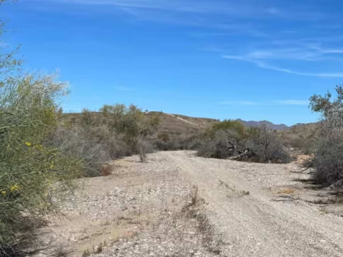 Petroglyph Access photo 2