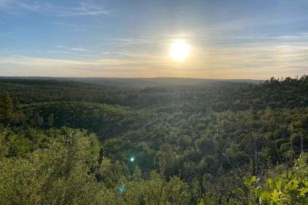 Rim Road East