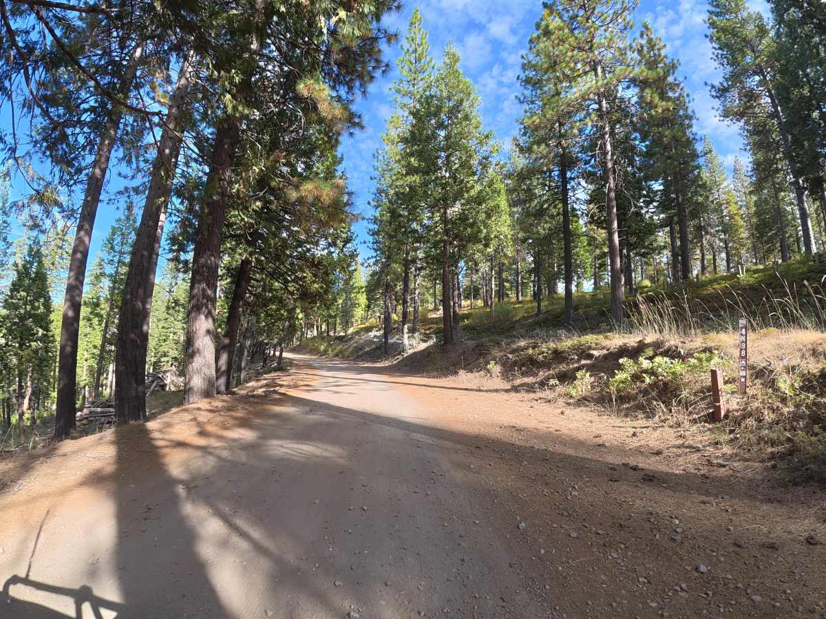 FS 4N88 North trail photo