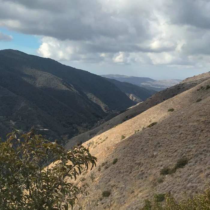 Near Silverado Trail to Bedford Peak