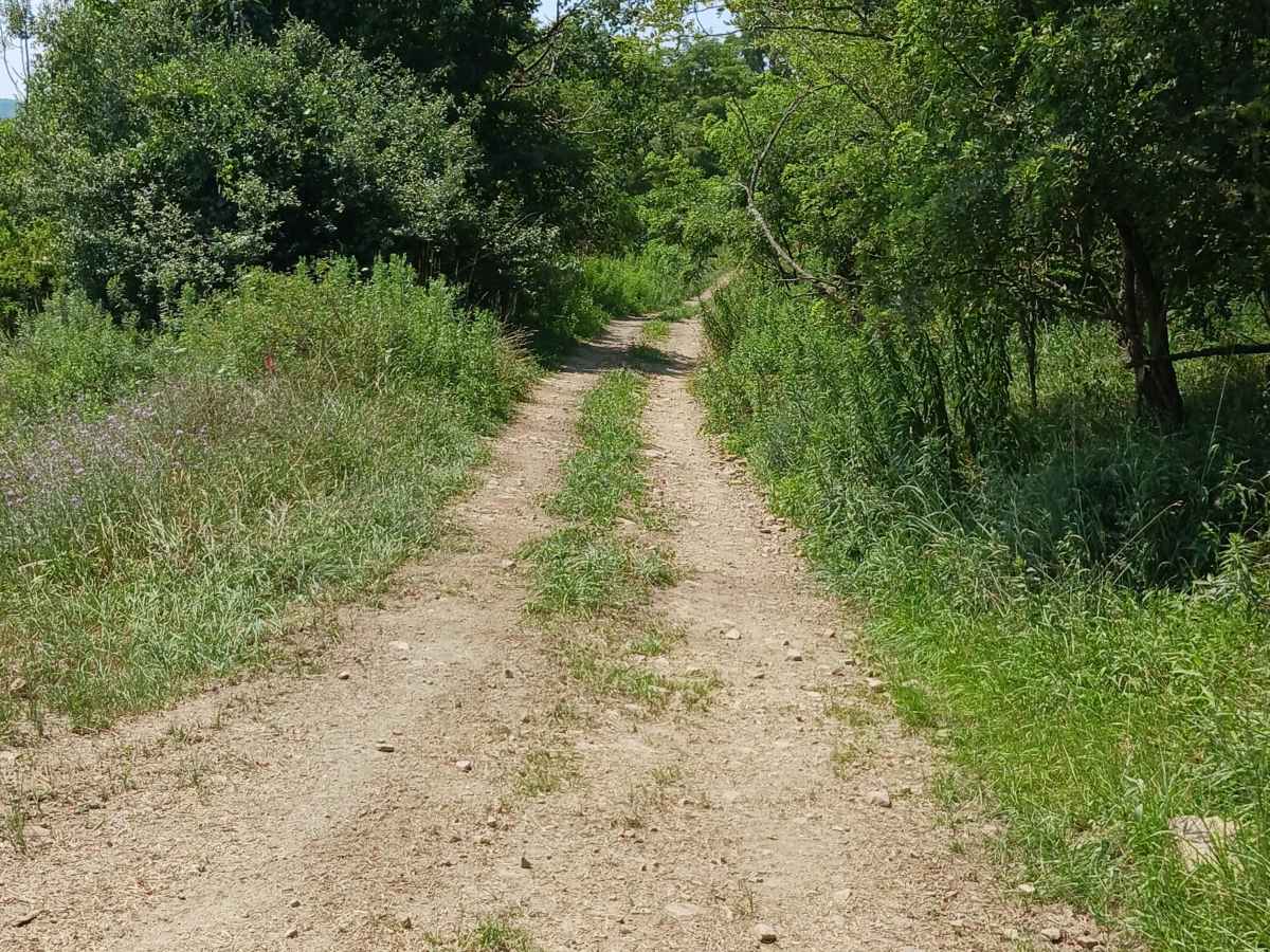 Big Buck Trail - Rock Run Recreation Area photo 2