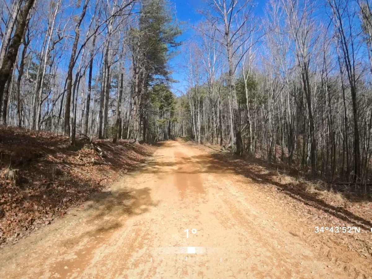 Vandiver Mountain Road - FS 418 photo 4