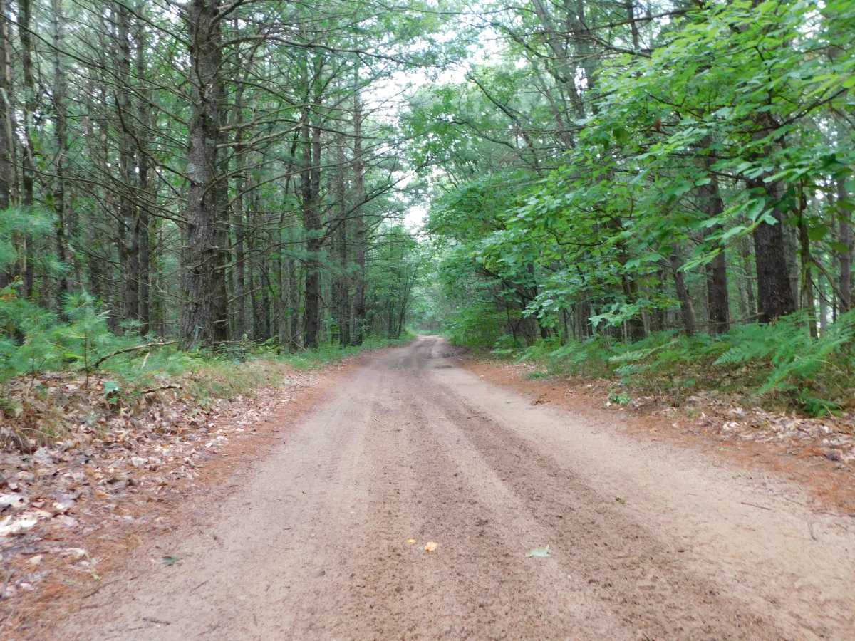 Roosevelt Road trail photo