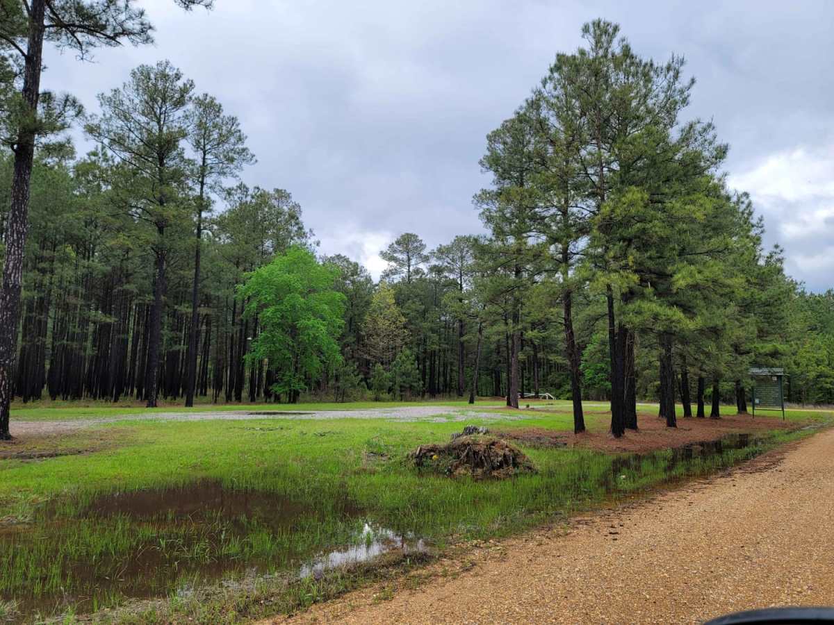 The Arkansas Overland Route - Section 12 - Dead End but Fresh Beginning photo 6