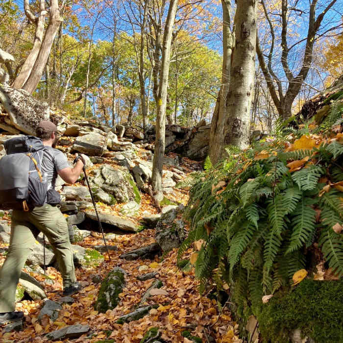 Day 1 hiking Near Allegheny Front Trail