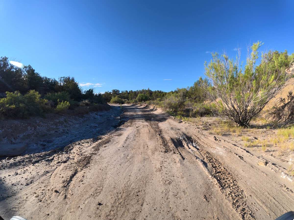 South Road trail photo