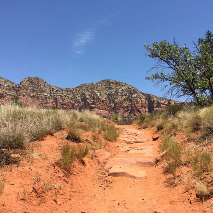 View north. Near Courthouse Loop