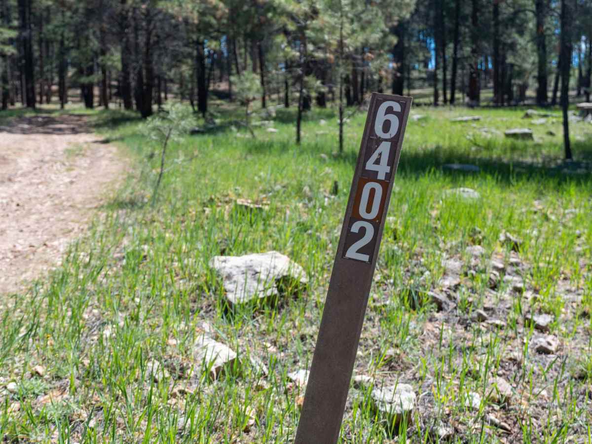 FS 6402 trail photo