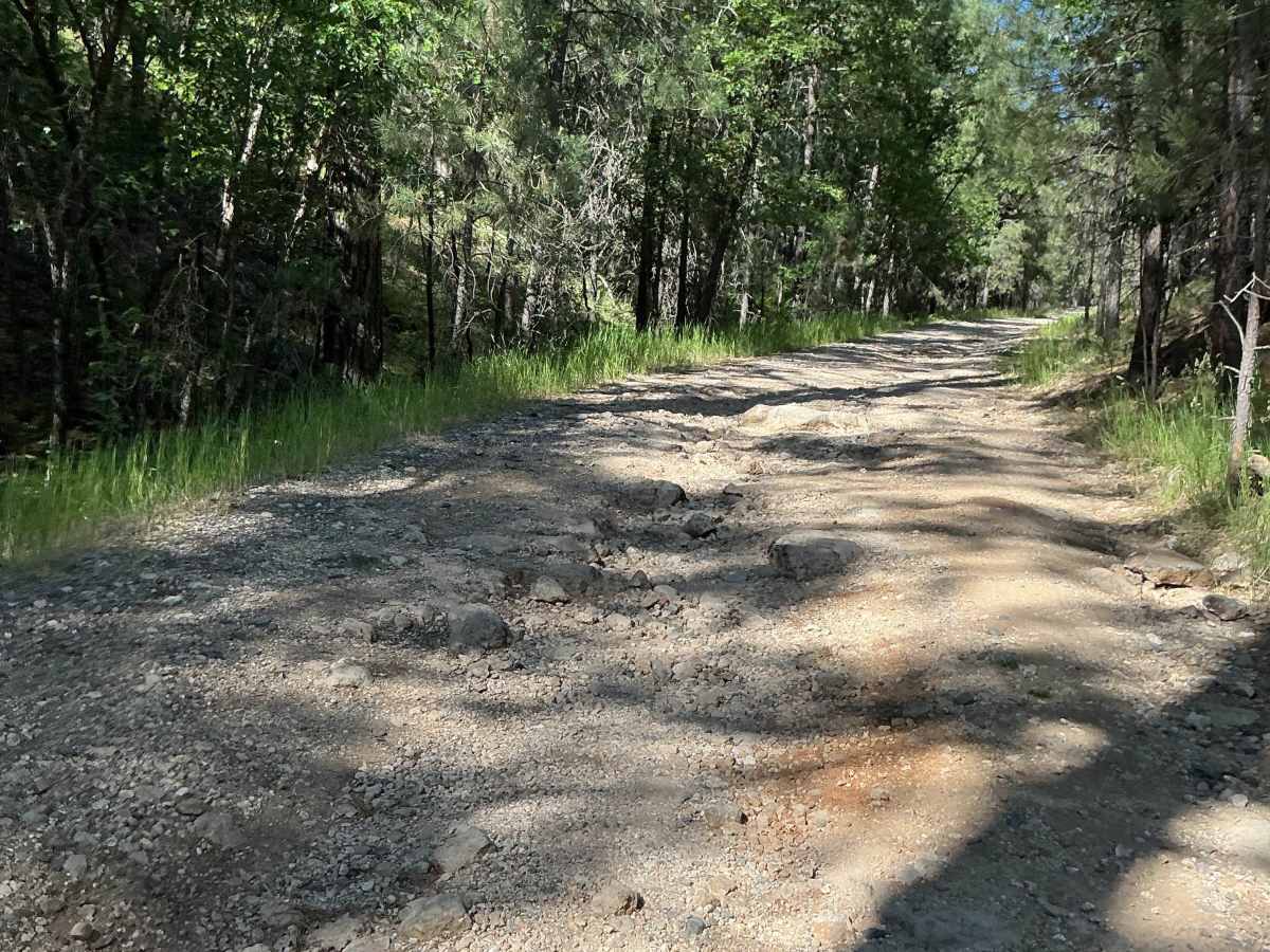 FS 6374A trail photo