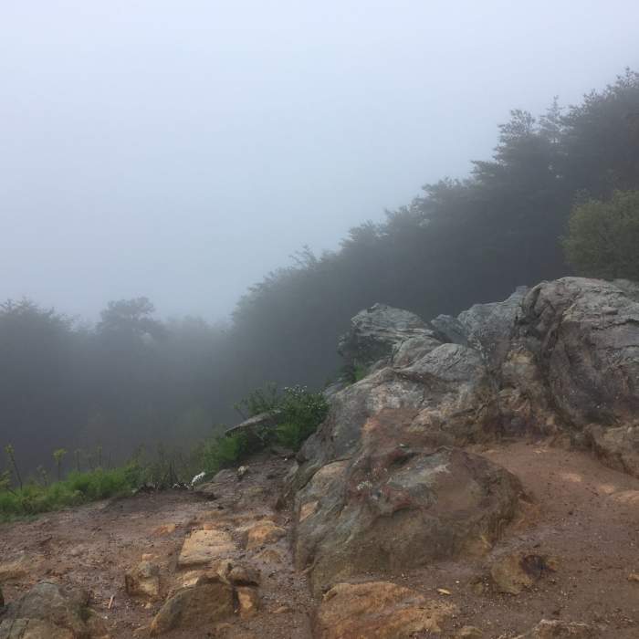 Near Pine Mt. and Cooper's Furnace Tour