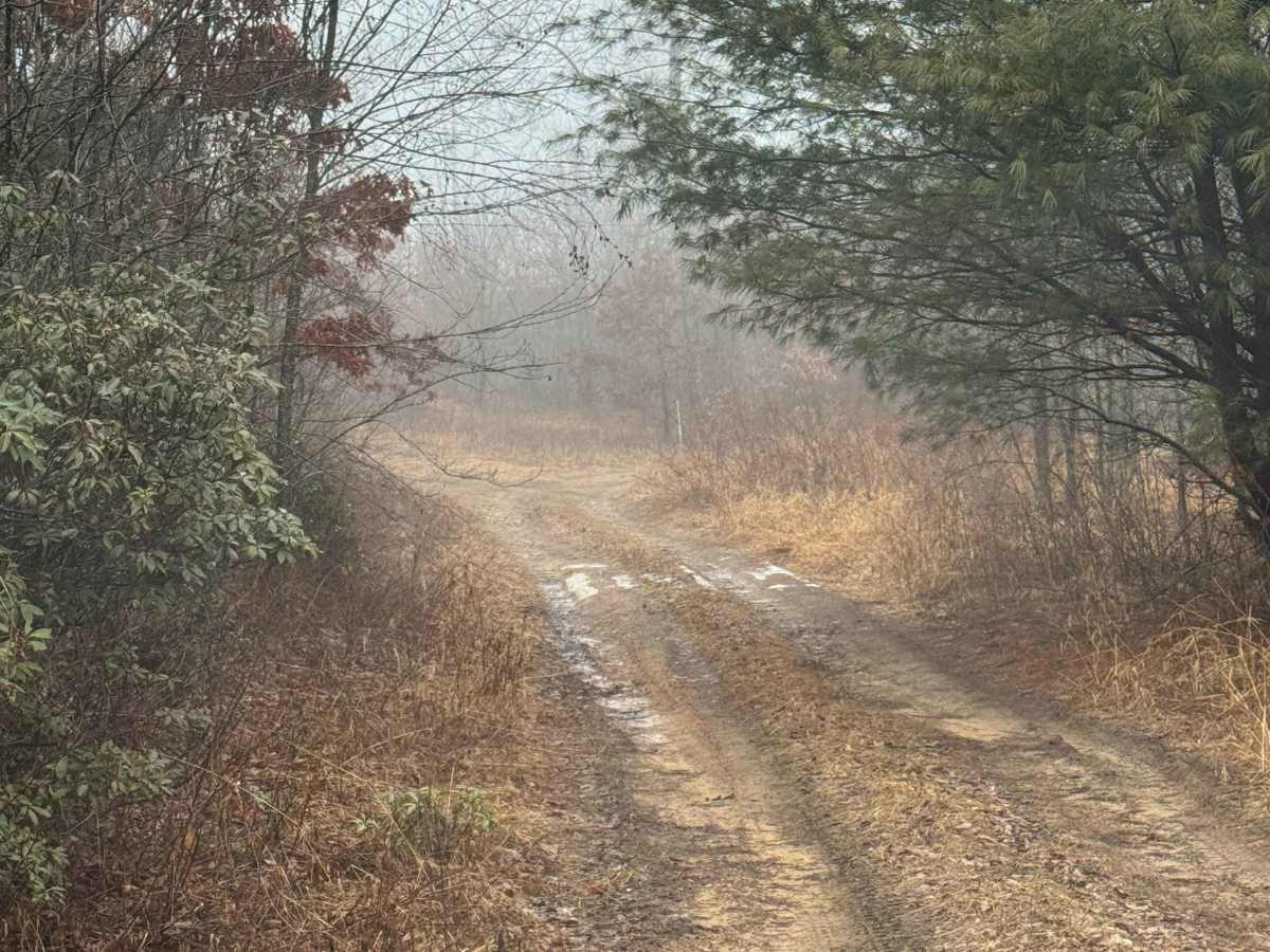Eagleton Run Blue Trail photo 3