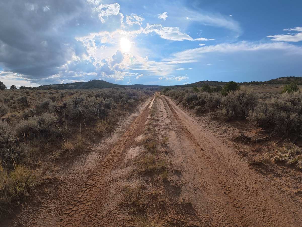 BLM 621A photo 2