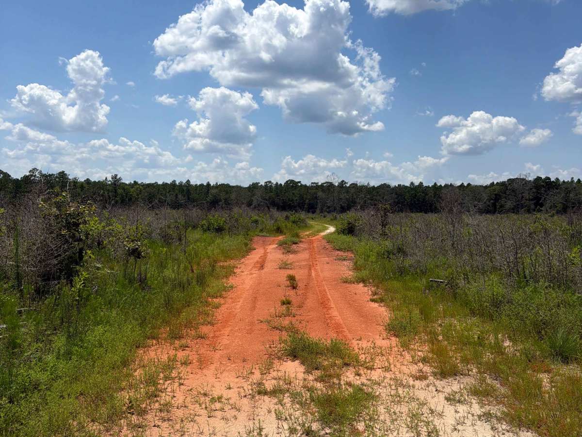 Prairie Trail photo 5