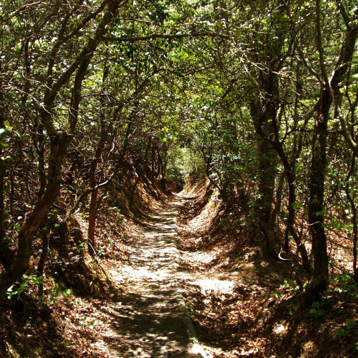 Tunnel Near Indian Creek to Deep Creek Loop