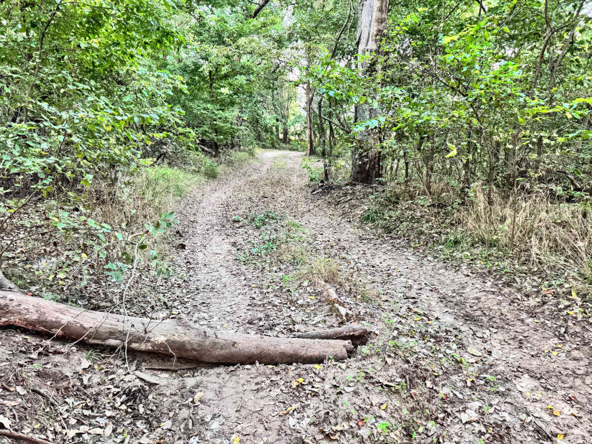 Vice Grip Valley photo 3