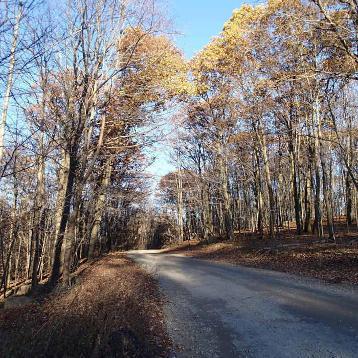 Near Split Rock Trail