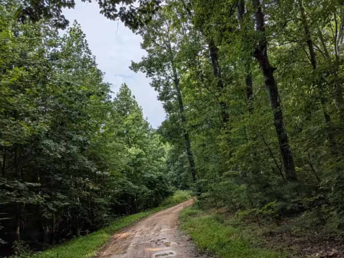 Rally Road photo 5