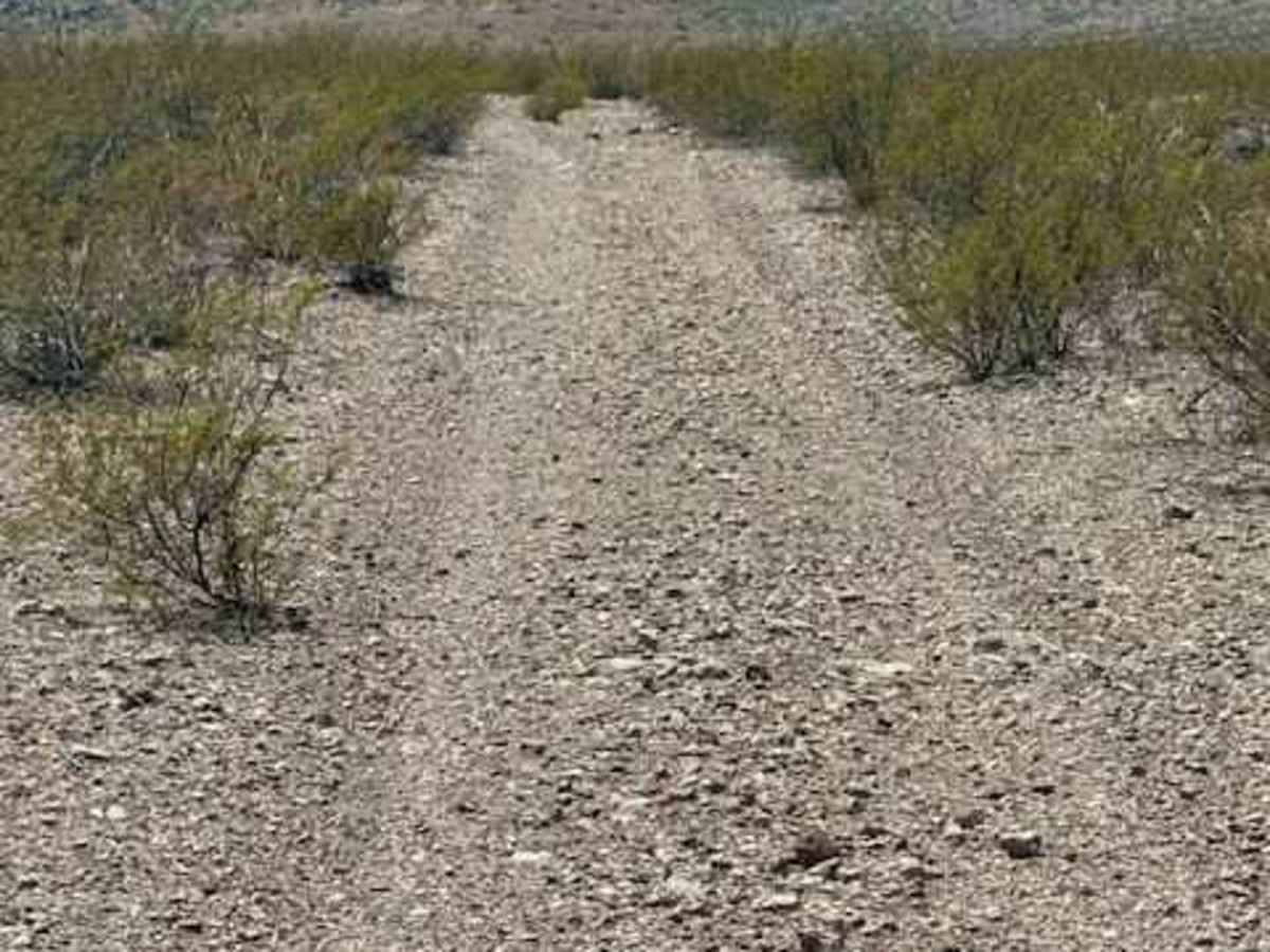 BLM PE1141 photo 5