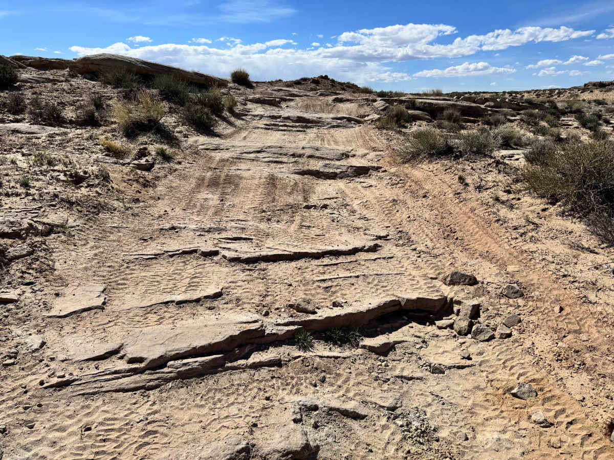 Orange Trail photo 6
