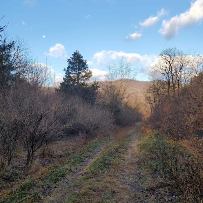 Near Shawls Gap to High Peak