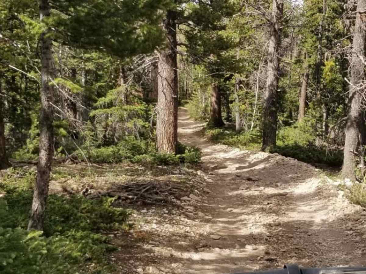Powell Point Trail trail photo