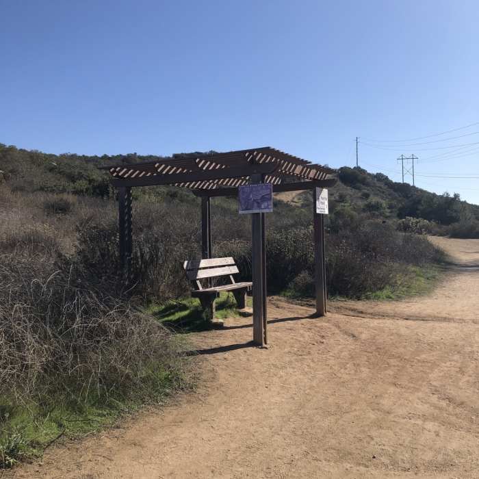 Near Buena Vista Park