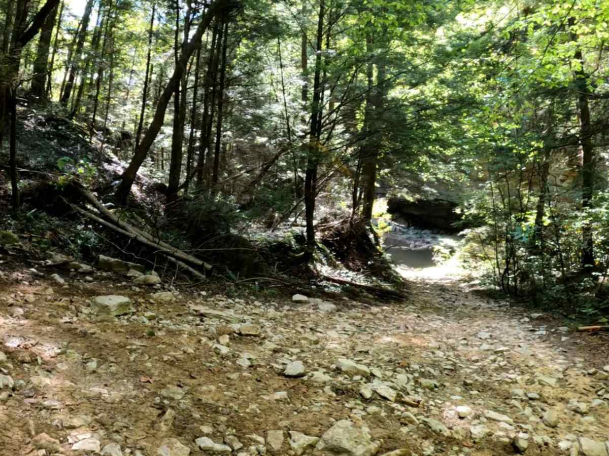 Sinking Creek photo 2