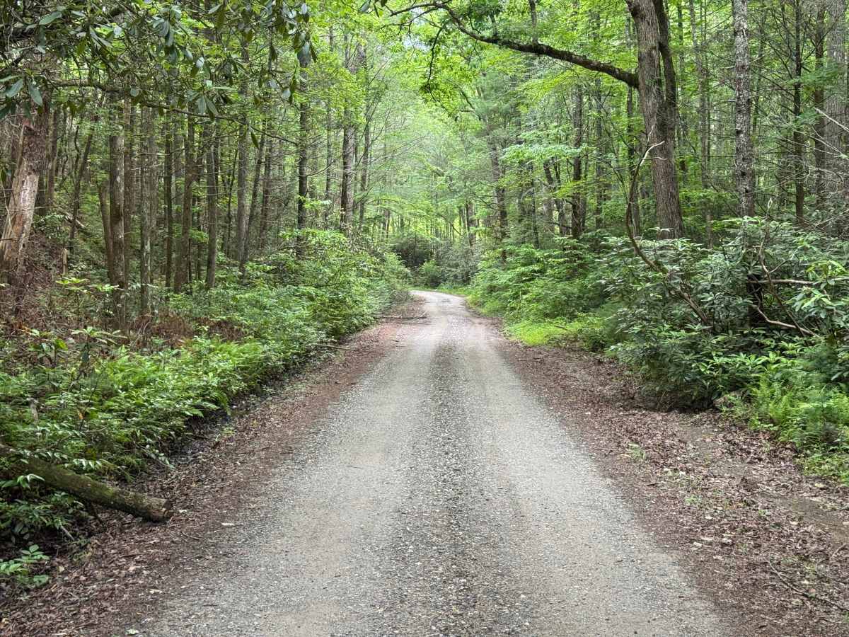 Joe Brown Highway photo 6