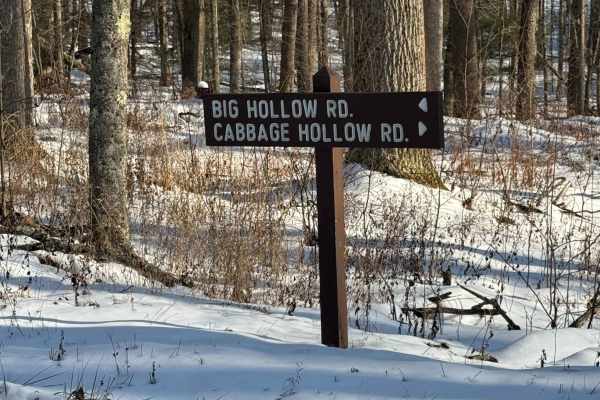 Cabbage Hollow Road