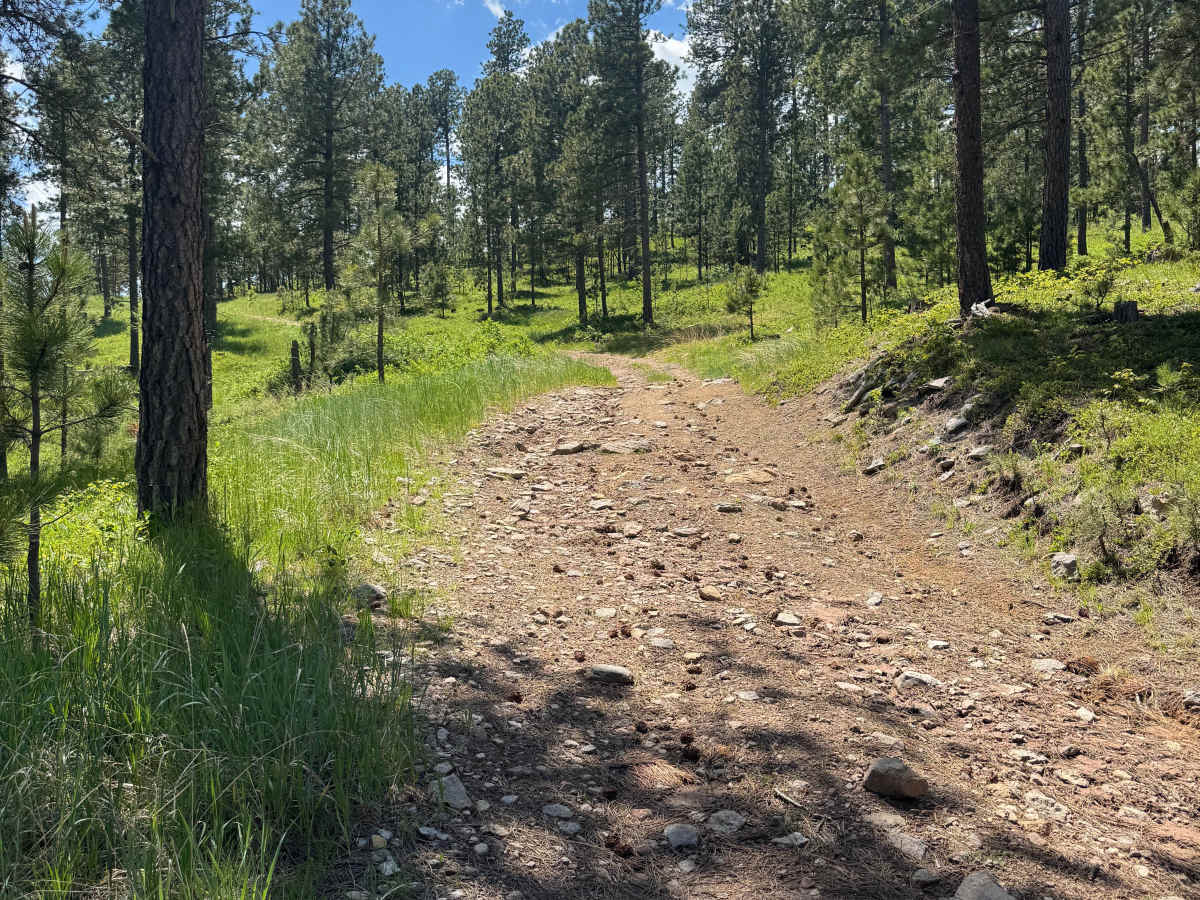 Forbes Gulch Br 1a - FSR 169.1A photo 2